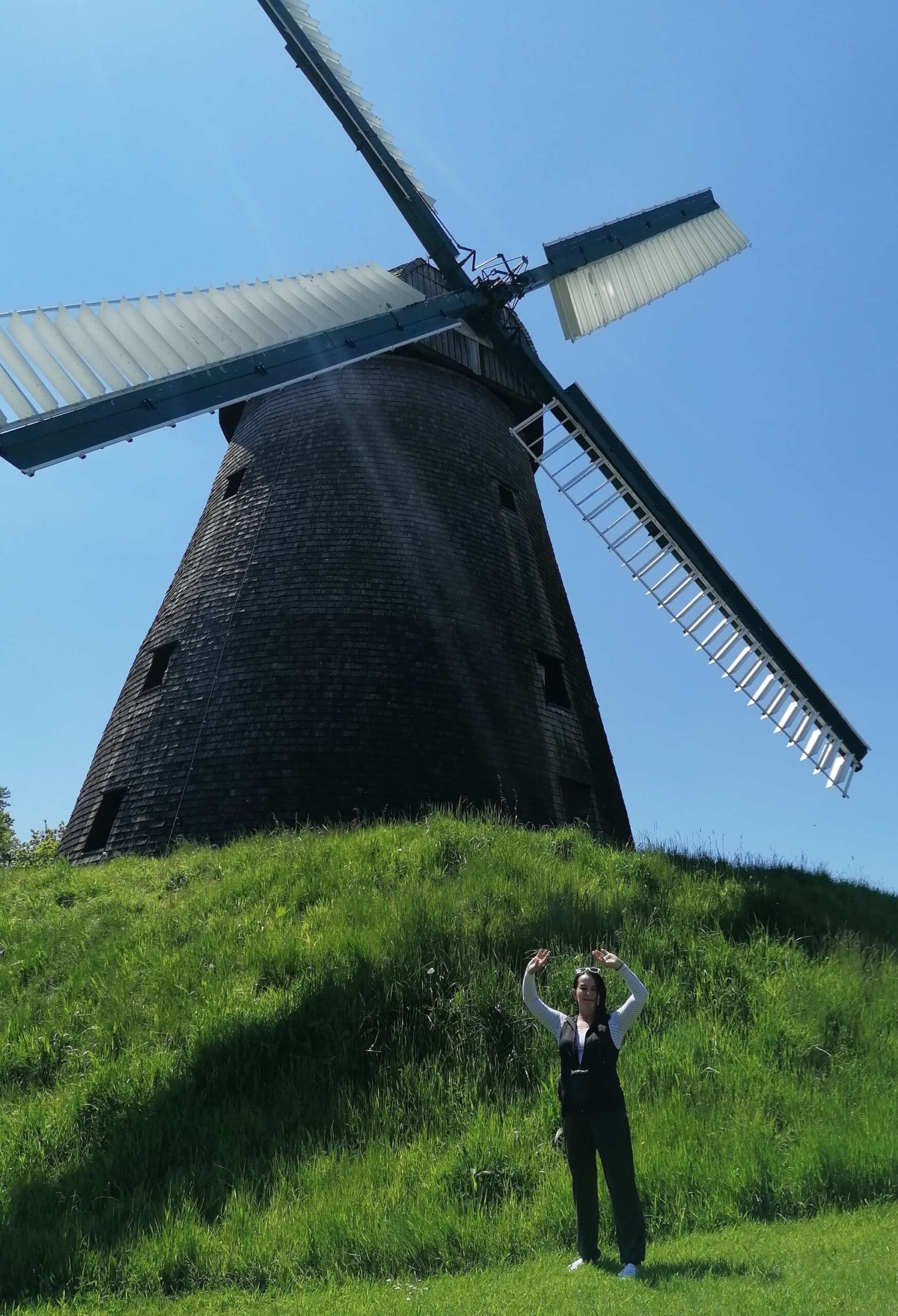 Tereska na łące przy wielkim wiatraku