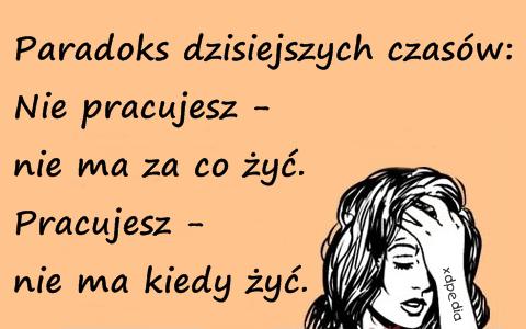 MLM czy to działa ?